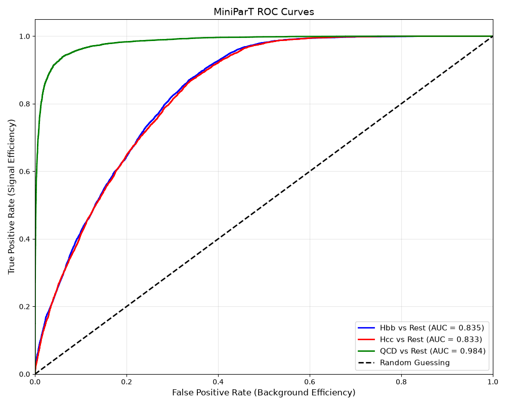 ROC curves from the same full training run.